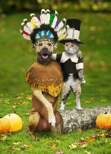 http://www.countrybynet.com/attachments/files/16884-Happy%20Thanksgiving.jpg